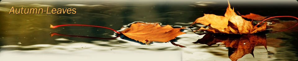 Autumn Leaves Autumn Leaves
